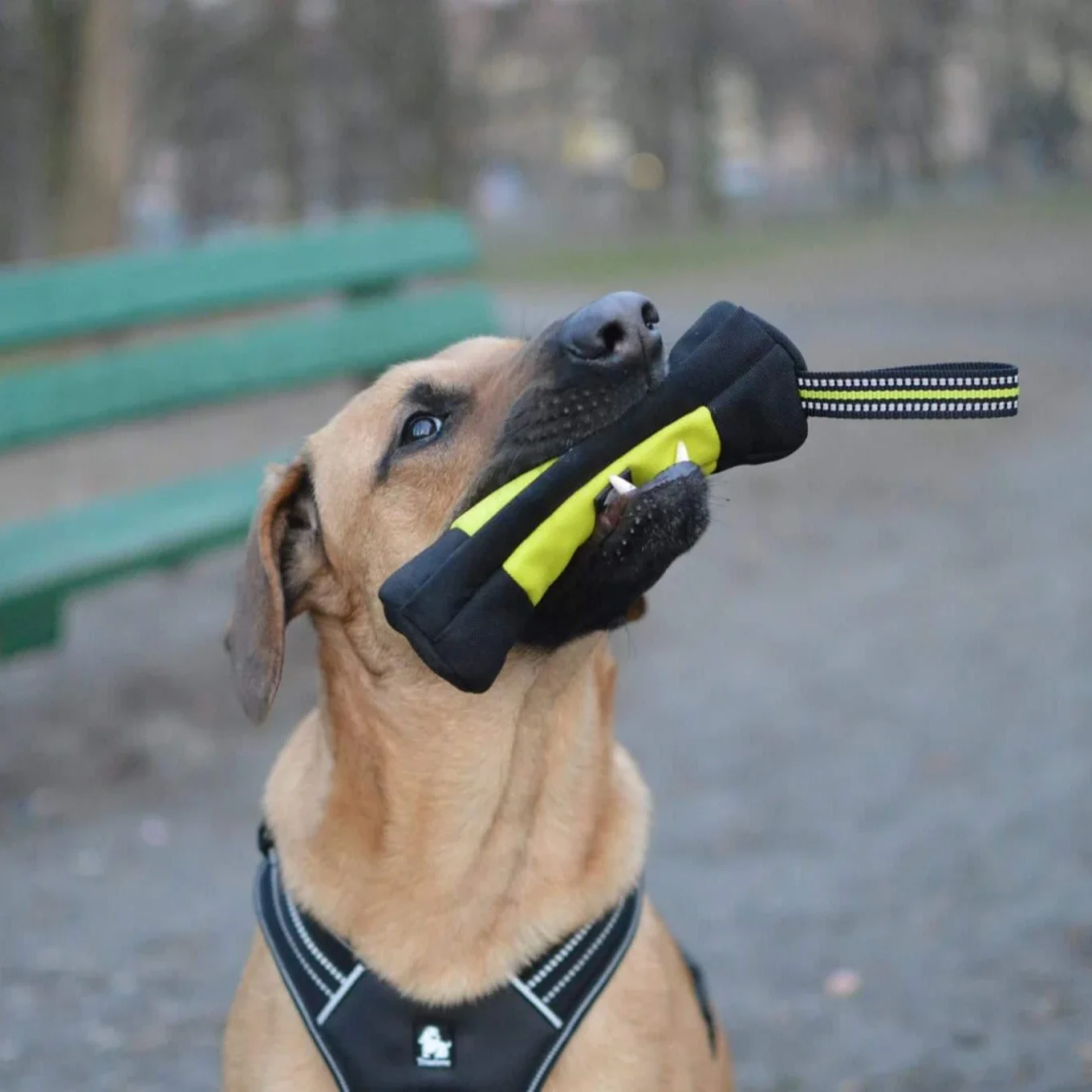 Truelove Dog Training Retrieve - Quality Food Snacks 评论和价格